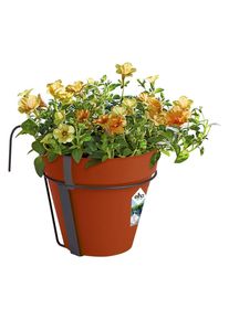Gardebruk Bloembak Terracotta 20x28cm met Houder