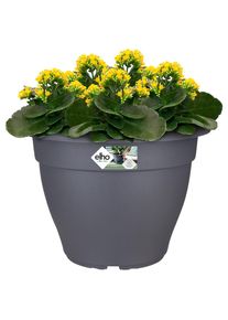 Gardebruk Maceta flores antracita 38x28cm 17L redondo plantas
