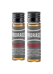 Proraso Wood & Spice Hot Oil Beard Treatment Baardverzorging Heren 68 ml