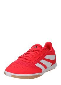 adidas Performance Ghete de fotbal 'Predator Club' Bărbaţi roșu, Mărimea 6