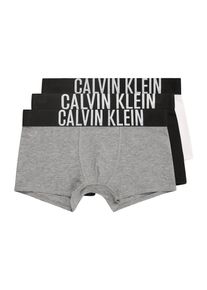 Calvin Klein Underwear Onderbroek grijs gemêleerd / zwart / wit 128-140