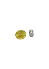 13 Unités - Aimants grappin cylindrique en néodyme avec boîtier lisse 8 mm, néodyme|acier, argent