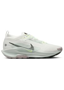 Nike Pegasus Trail 5 GORE-TEX Trail running shoes Men (8, grey)