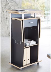 Germania Sekretär » 0469«, Stehpult Mit Rollen, Home Office Schreibtisch grau, Größe B/H/T: 65 cm x 130 cm x 37 cm B/H/T: 65 cm x 130 cm x 37 cm...
