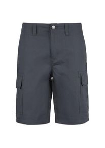 Dickies Millerville Short Short Heren (30 |blauw)