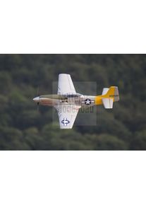 Freewing Flightline P-51D Mustang EPO 850mm PNP