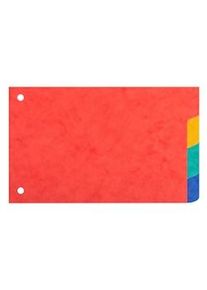 Exacompta - Cod.604E - Divisori per raccoglitori ad anelli con 4 tasti neutri per schede bristol - Cartoncino 225 g/mq multicolore 10x15cm 10 pezzi