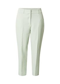Only Carmakoma Dames Pantalon pastelgroen 56
