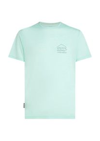Icebreaker Merino 125 Cool-Lite Sphere S/S Tee Explor Merinoshirt Heren (S |grijs/groen)