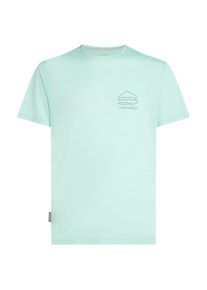 Icebreaker Merino 125 Cool-Lite Sphere S/S Tee Explor Merinoshirt Heren (S |grijs/groen)