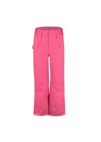 Trollkids Girl's Rauland Ski Pant Ski trousers Kids (152, pink)