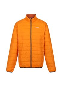 Regatta Hillpack gewatteerd ge&iuml;soleerd jasje heren