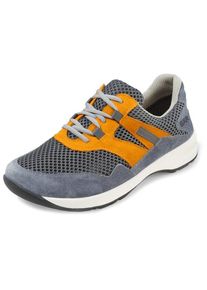 Bär Easyrun Multisport shoes (9, grey)
