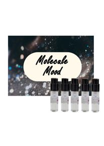 Perfume Discovery Set: Molecule Mood