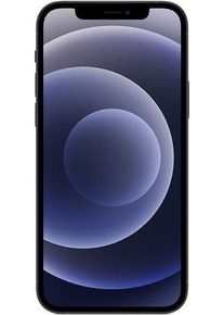 Apple iPhone 12 | 256 GB | nero