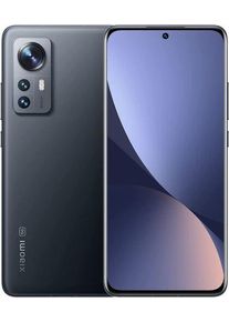 Xiaomi 12X | 8 GB | 256 GB | grigio