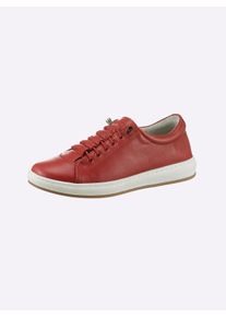 Andrea Conti Dames Sneaker in rood ,maat 36, Witt, 100% Runderleer