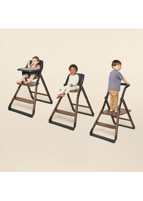 ergobaby Evolve High Chair System: Dark Wood
