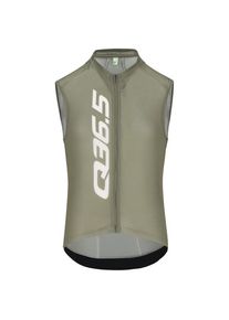 Q36.5 Gregarius Signature Sleeveless Jersey Cycling singlet Men (XXL, olive)