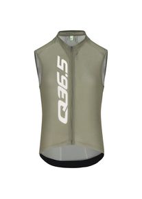 Q36.5 Gregarius Signature Sleeveless Jersey Cycling singlet Men (XXL, olive)
