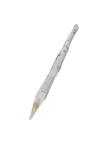 TETZNER & JENTZSCH Poteau en bois naturel T&J ROBINIE Ø 9 cm, piquets écorcés et pointus, 75 cm