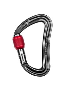 Ocun Raven Screw Screwgate carabiner grey