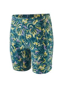Patagonia Women's Nether Bike Shorts Cycling bottom Women (XL, multi)
