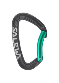 Salewa Ortles Bent Carabiner Snapgate carabiner grey