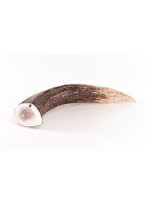Terveellinen koiran välipala - Bellfor-koiranruoan XXL hirvieläimet - 160 g