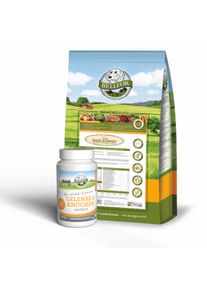 Ruokasetti keskikokoisille koirille, joilla on nivelet ja luusto kapselit