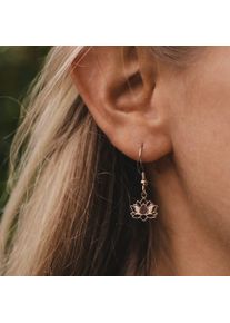 Holzkern Earrings Women Rose Gold and Walnut