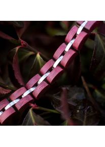 Holzkern Armband Fantasia (Amaranth/Silber), Naturholz, Damen und Herren, größenverstellbar