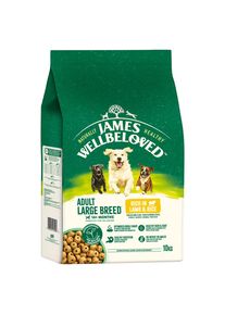10kg Adult Large Breed Dog Hypoallergenic Agnello & Riso James Wellbeloved secco per cani