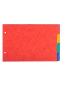 Exacompta - Cod. 804E - Divisori per raccoglitori ad anelli con 4 tasti neutri per schede bristol - Cartoncino 225 gr multicolore 14,8x21cm 10 pezzi
