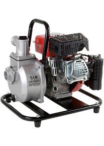 TIP Gartenpumpe »LTP 250/25« in silberfarben, Größe 0