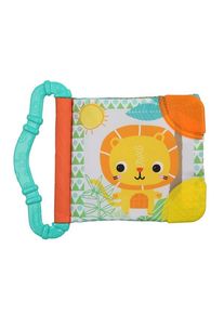 Bright Starts Teething & read
