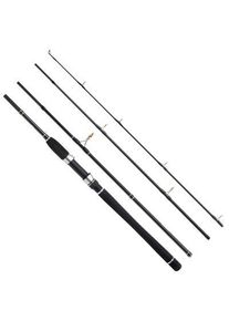 WFT Sea Dart Seelachs 4pcs. 2,16m 30-110g