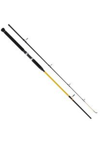 WFT N.C. Big Fish 150-700g 3,00m