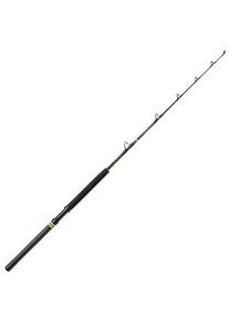 Penn Squall II 30-80Lb 5Ft6 1,68M