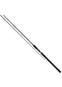 Salmo Tollmaster 240cm 40-60g 2pc