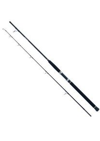 WFT Sea Dart Special Fjord 2,10m 12lbs 20-160g Transportl. 1,1m 2pcs