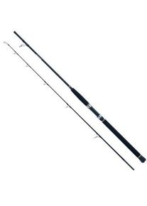 WFT Sea Dart Special Fjord 2,10m 18lbs 20-200g Transportl. 1,1m 2pcs