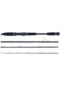 WFT Sea Dart Norway Fjord 4pcs. 2,10m 18lbs 30-200g