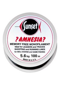 Jenzi Amnesia Leader Vorfach Schwarz 12lbs 100m