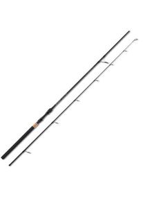 Sänger Sänger Spirit CSX Big Fish 2,40m/50-140g