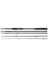 Daiwa Megaforce Tr. 3.00m 10-45g