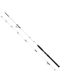 WFT Salzmeister Köhler Jigger 2,65m 25-120g