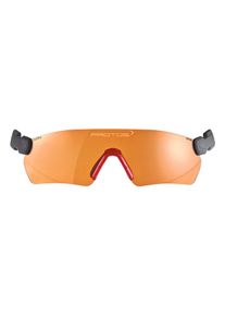 Lunettes de protection Protos Integral