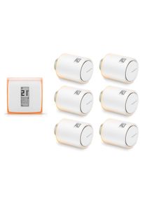 Netatmo Thermostaat + Radiatorkraan 6-pack