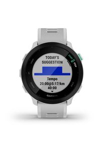 Garmin Unisex Forerunner 55 grau
